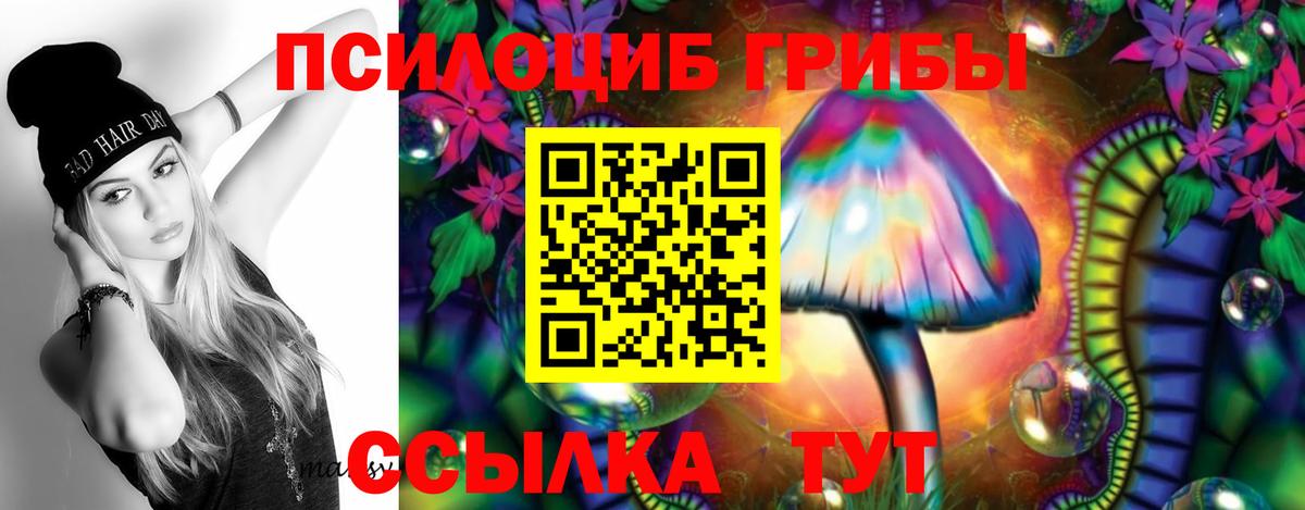 Псилоцибиновые грибы Psilocybe  Вход с VPN  Галлюциногенные грибы Psilocybe  Коркино 