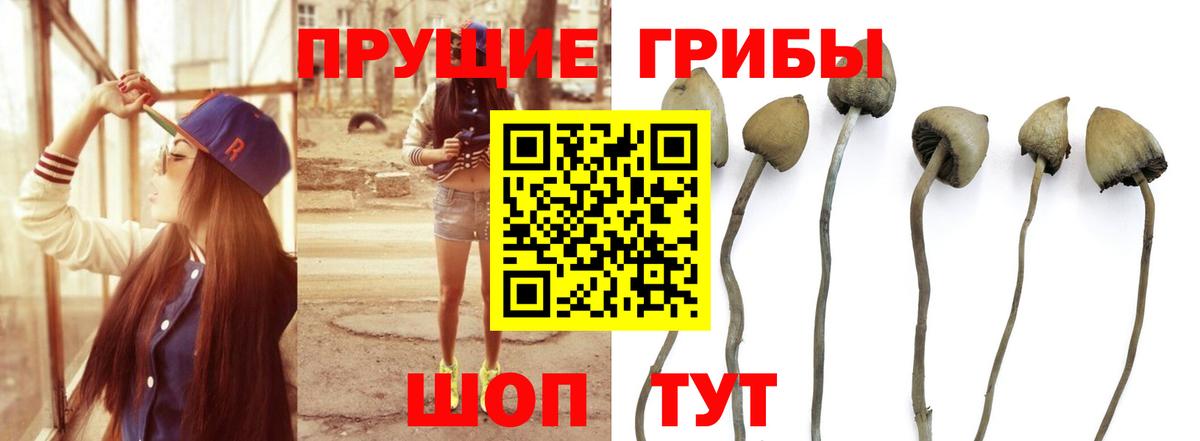 Псилоцибиновые грибы мухоморы Коркино